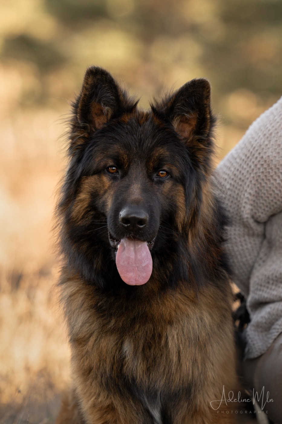 Vasco Du Val Saint-Lieu