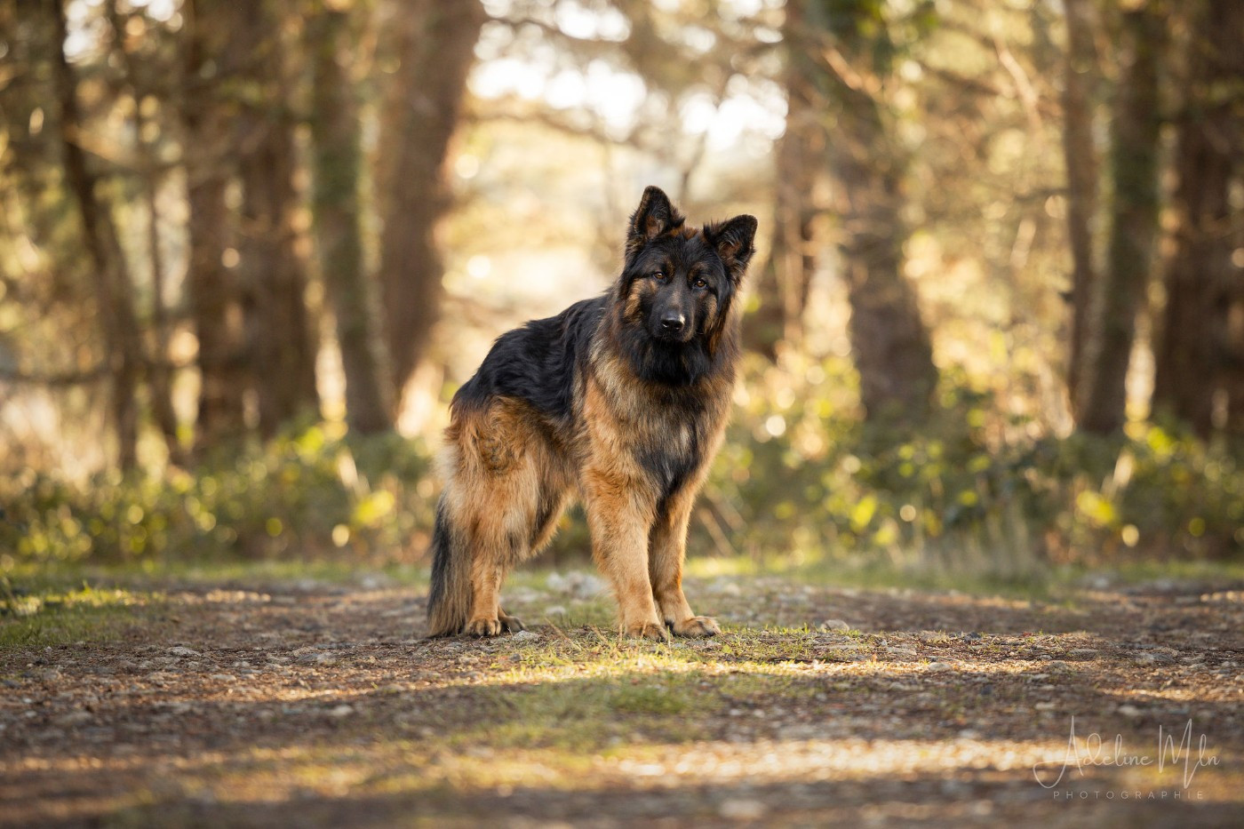 Vasco du val Saint-Lieu